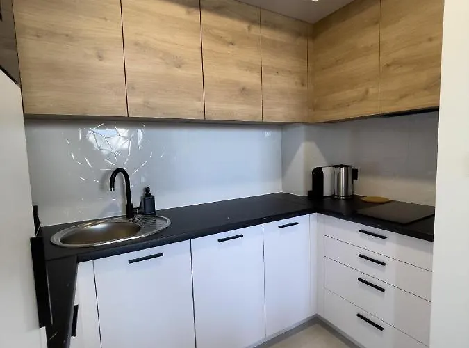 Urban Premium Baildona 18a, Free Garage, Self Check-in Κατοβίτσε